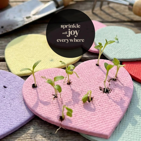 Seed Bloom eco-friendly-celebration-confetti: sustainable decor that blooms after use