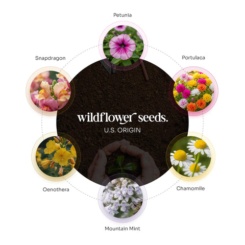 Seed Bloom plantable-confetti-in-envelope: ideal for tucked-in invitations or favors