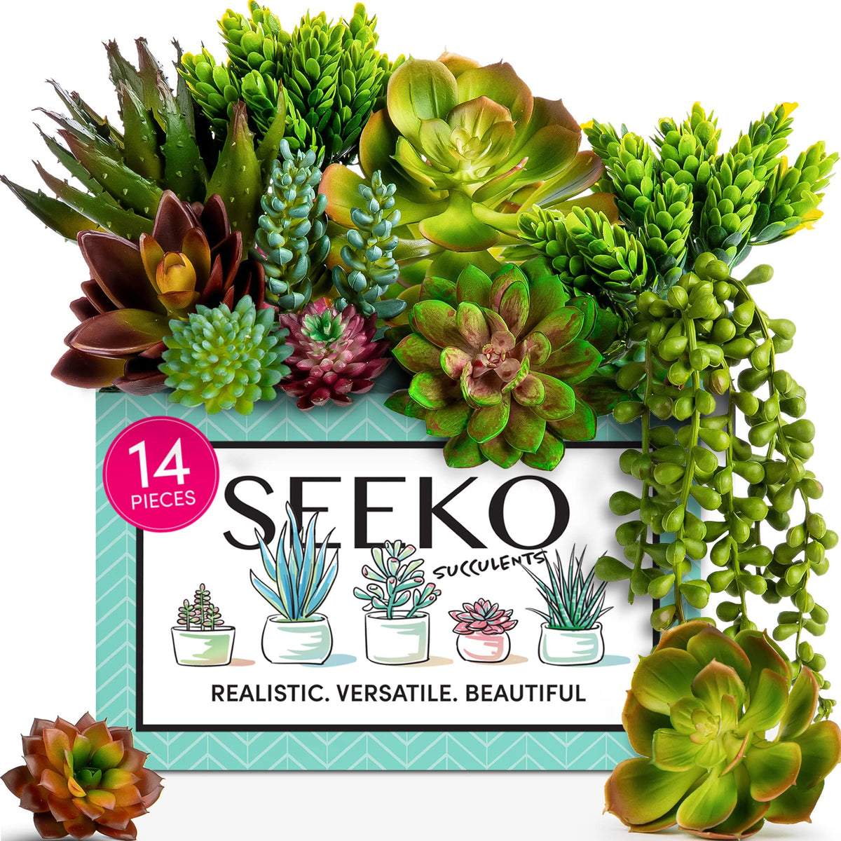 SEEKO Succulents 14-pack varieties display with lifelike detail for year-round home decor.