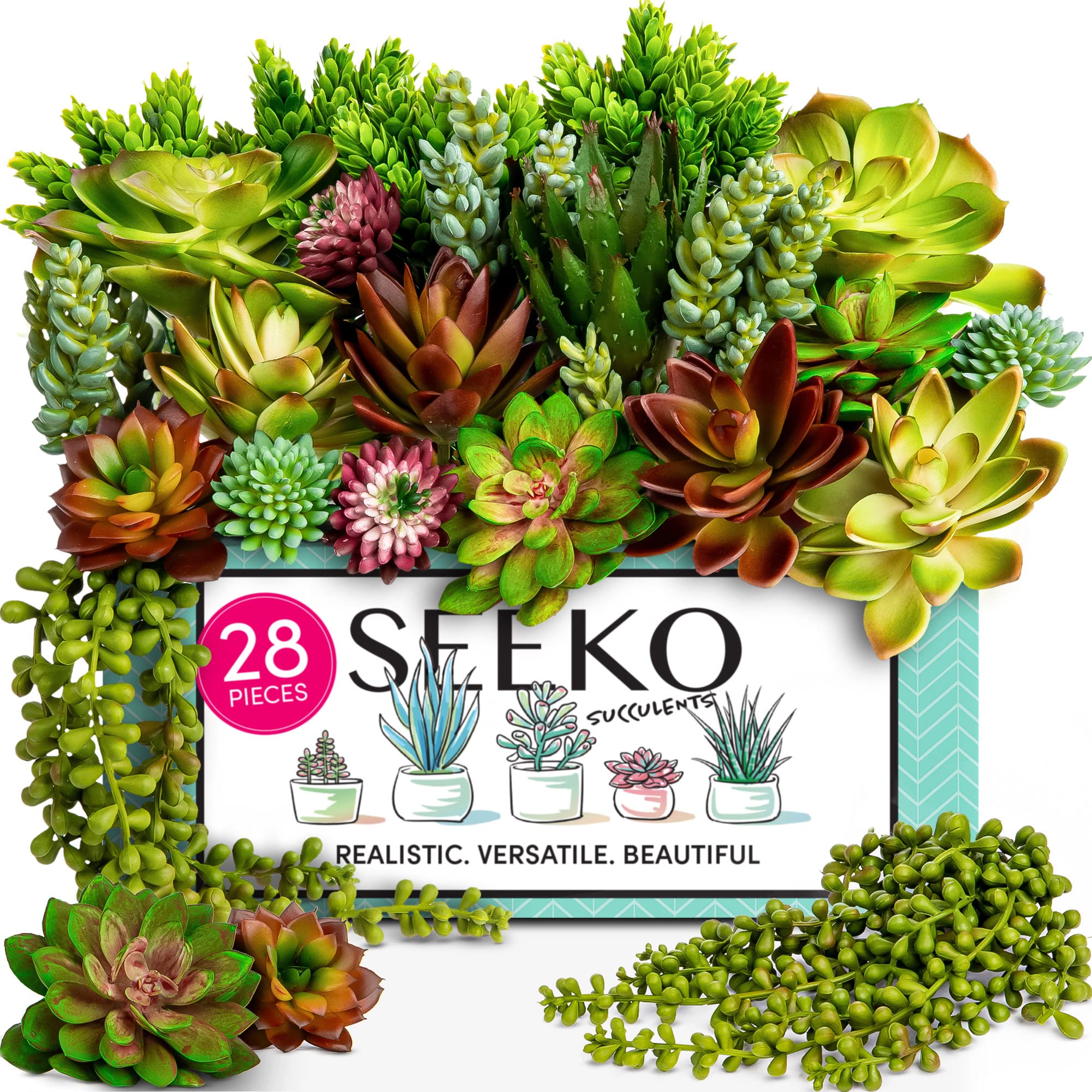 SEEKO Succulents 28-pack echeveria collection for long-lasting decor