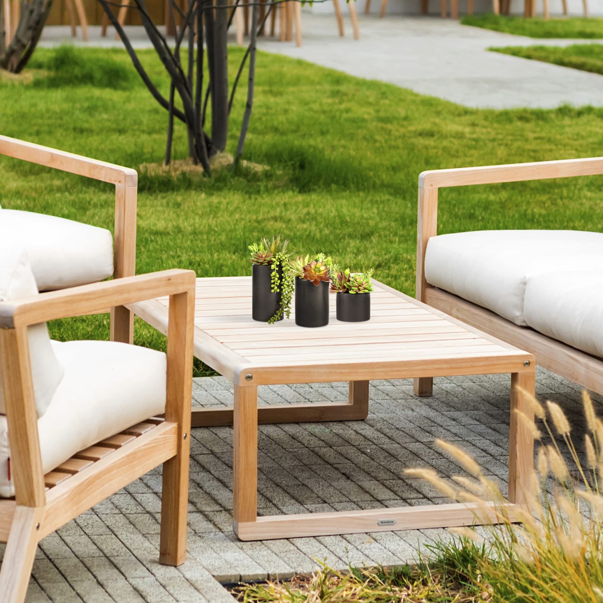 Three-pack SEEKO succulents fit desks, shelves, and entryways for instant ambience