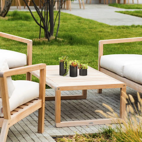 Three-pack SEEKO succulents fit desks, shelves, and entryways for instant ambience