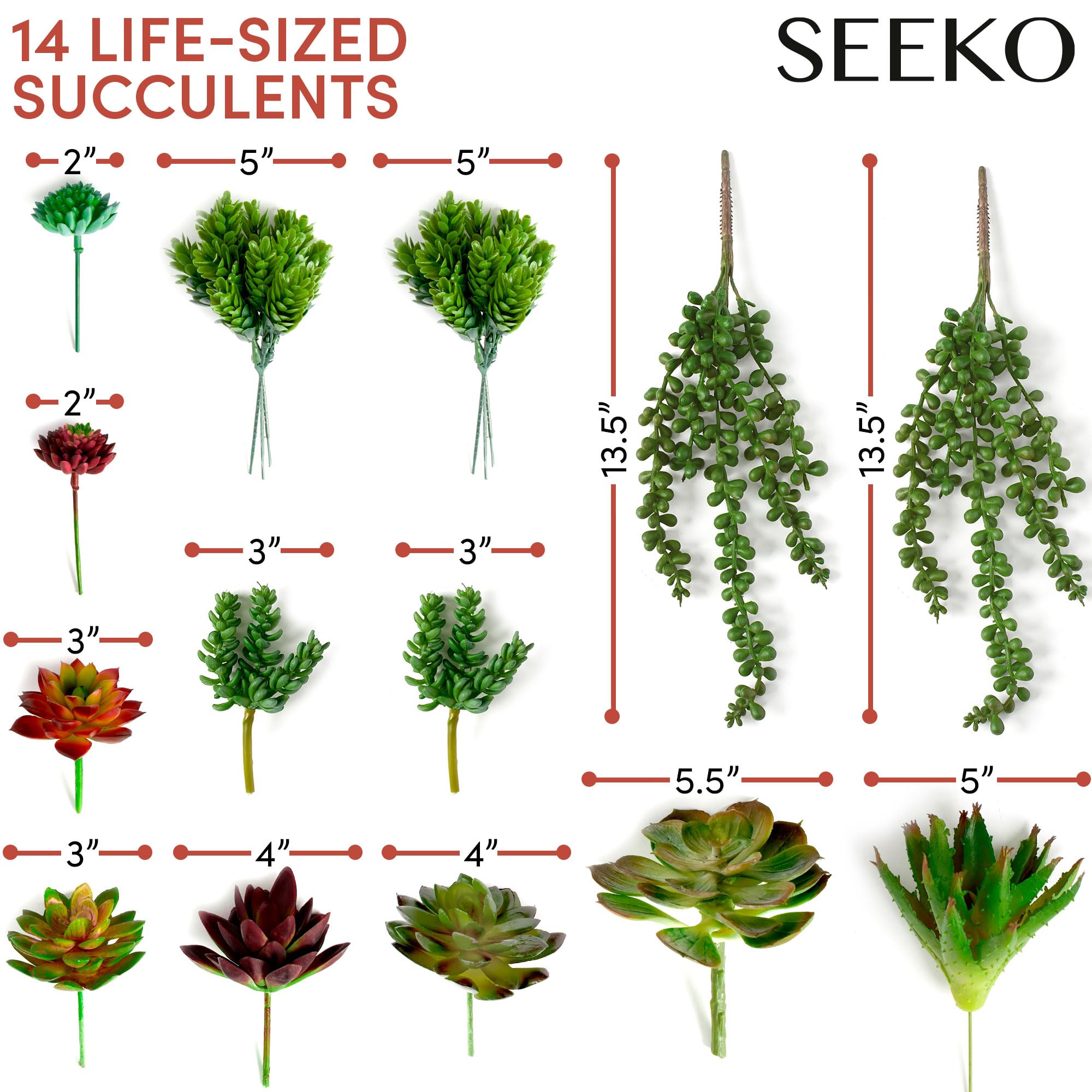 SEEKO Succulents gift-ready pack makes thoughtful decor gifts.