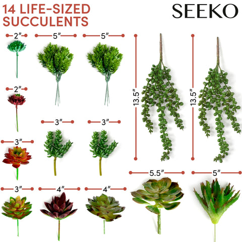 SEEKO Succulents gift-ready pack makes thoughtful decor gifts.