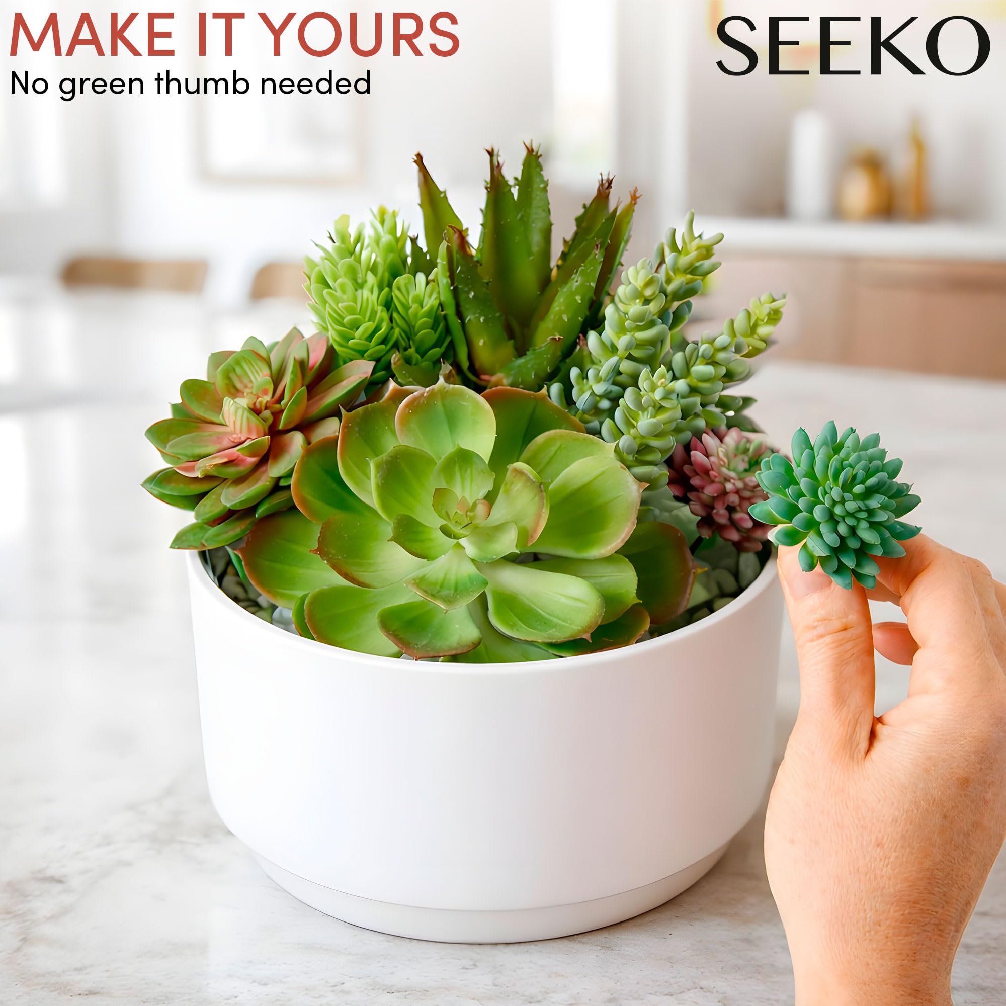 SEEKO Succulents indoor-outdoor setup suits shelves, tables, and patios.