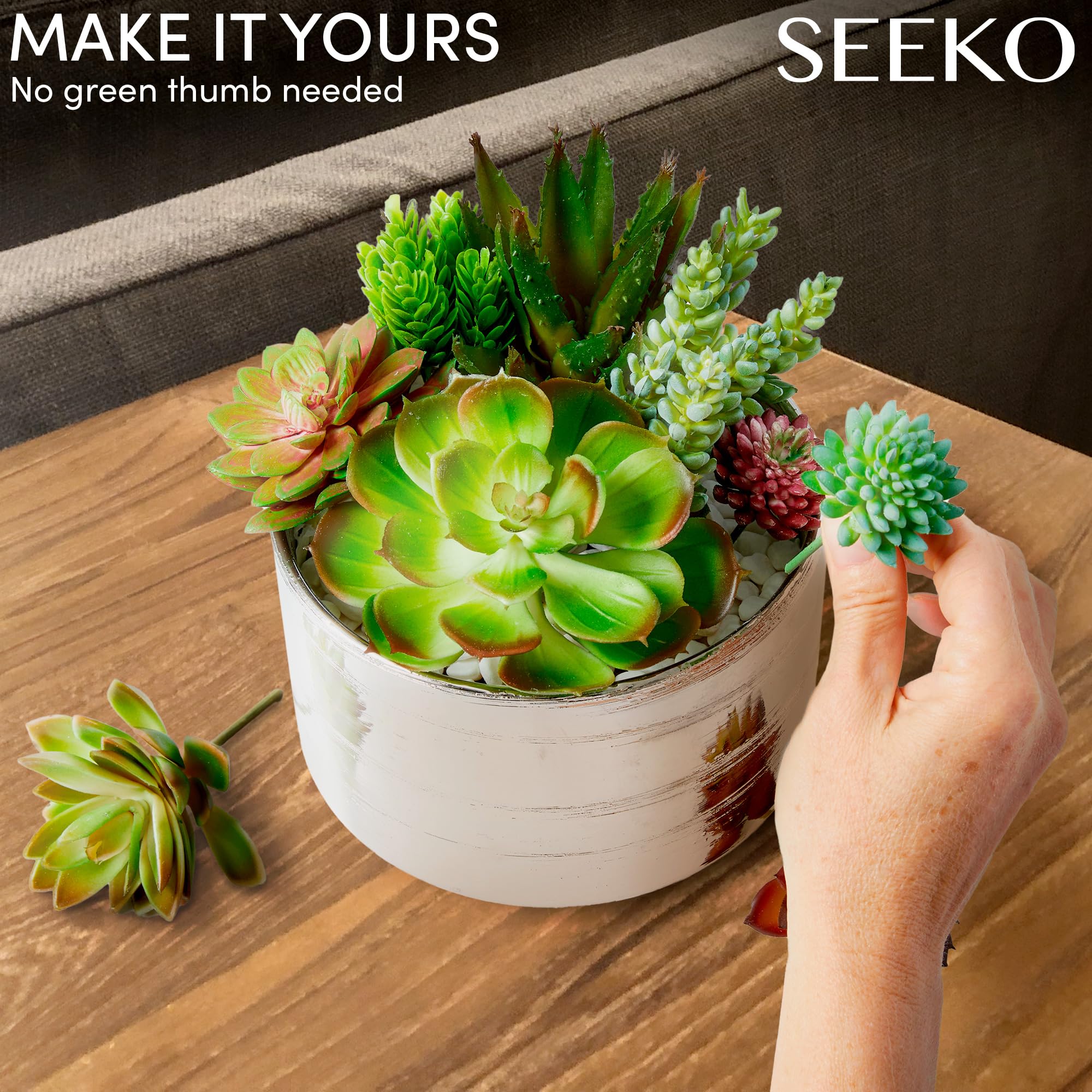 SEEKO Succulents mini succulents for DIY arrangements and shelf decor