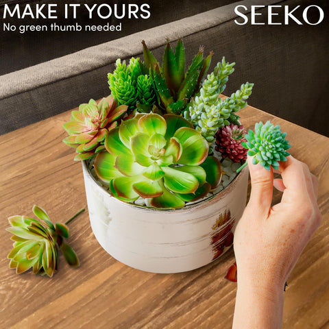 SEEKO Succulents mini succulents for DIY arrangements and shelf decor