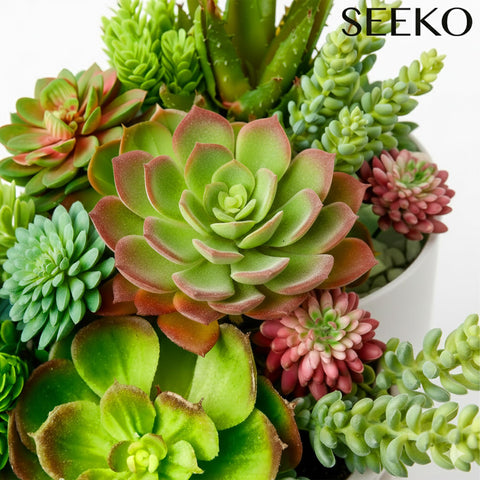SEEKO Succulents string-of-pearls for modern table styling and low maintenance