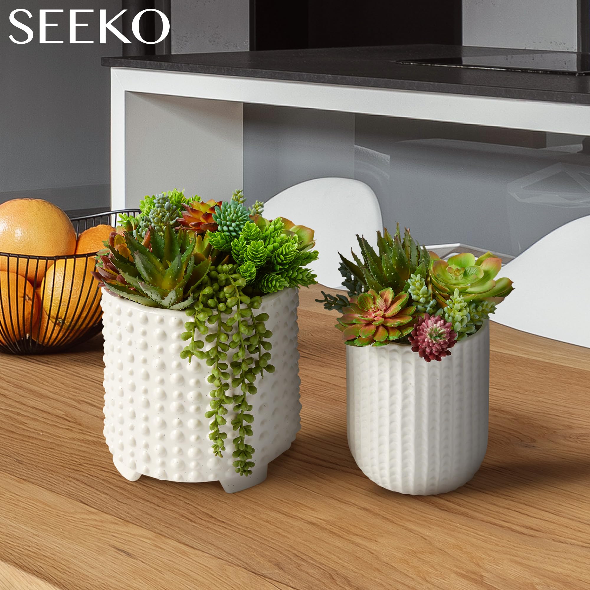 SEEKO Succulents wall decor greenery ideal for modern spaces