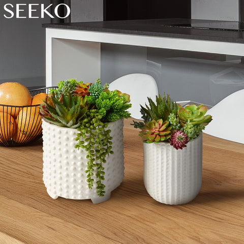 SEEKO Succulents wall decor greenery ideal for modern spaces