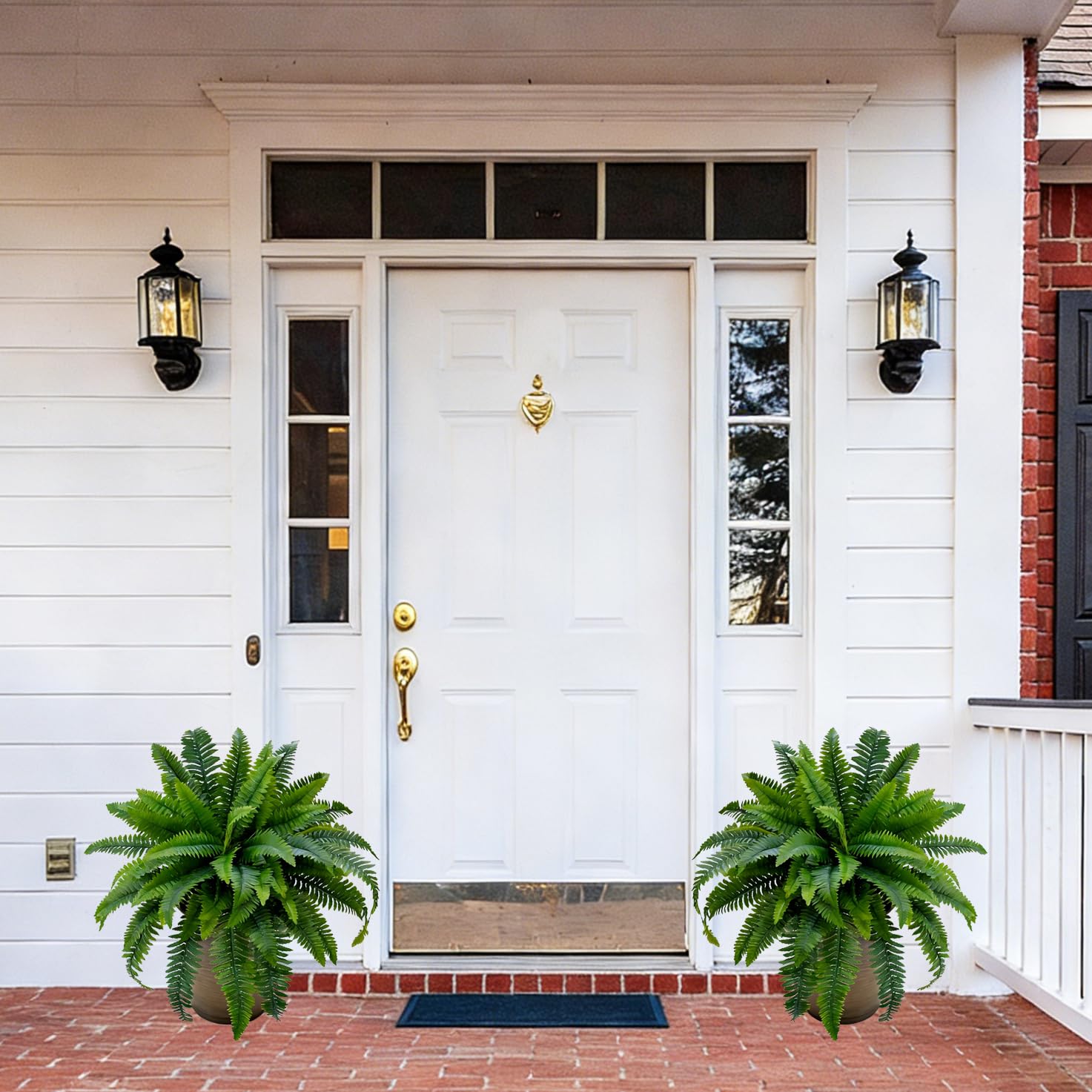 Senjie Boston fern care-free greenery ideal for low-maintenance decor.