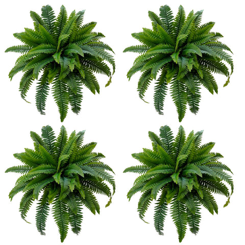 Senjie Boston fern four-set with 55 leaves, 32-inch display for lush outdoor decor.