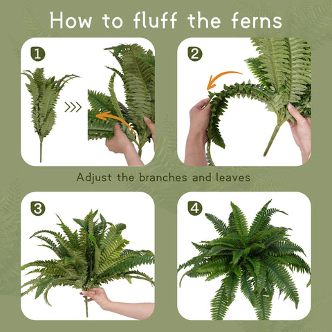 Senjie Boston fern living room display adds calming green accents.