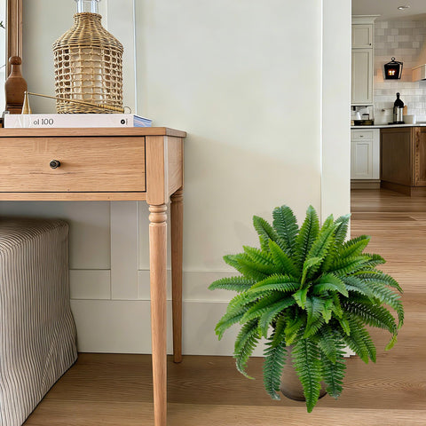 Senjie Boston fern in breeze-ready setup near a window