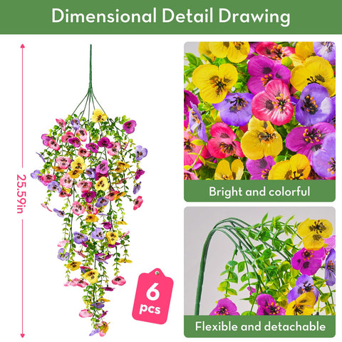 Serwalin six-pack pansy bundles for full outdoor display