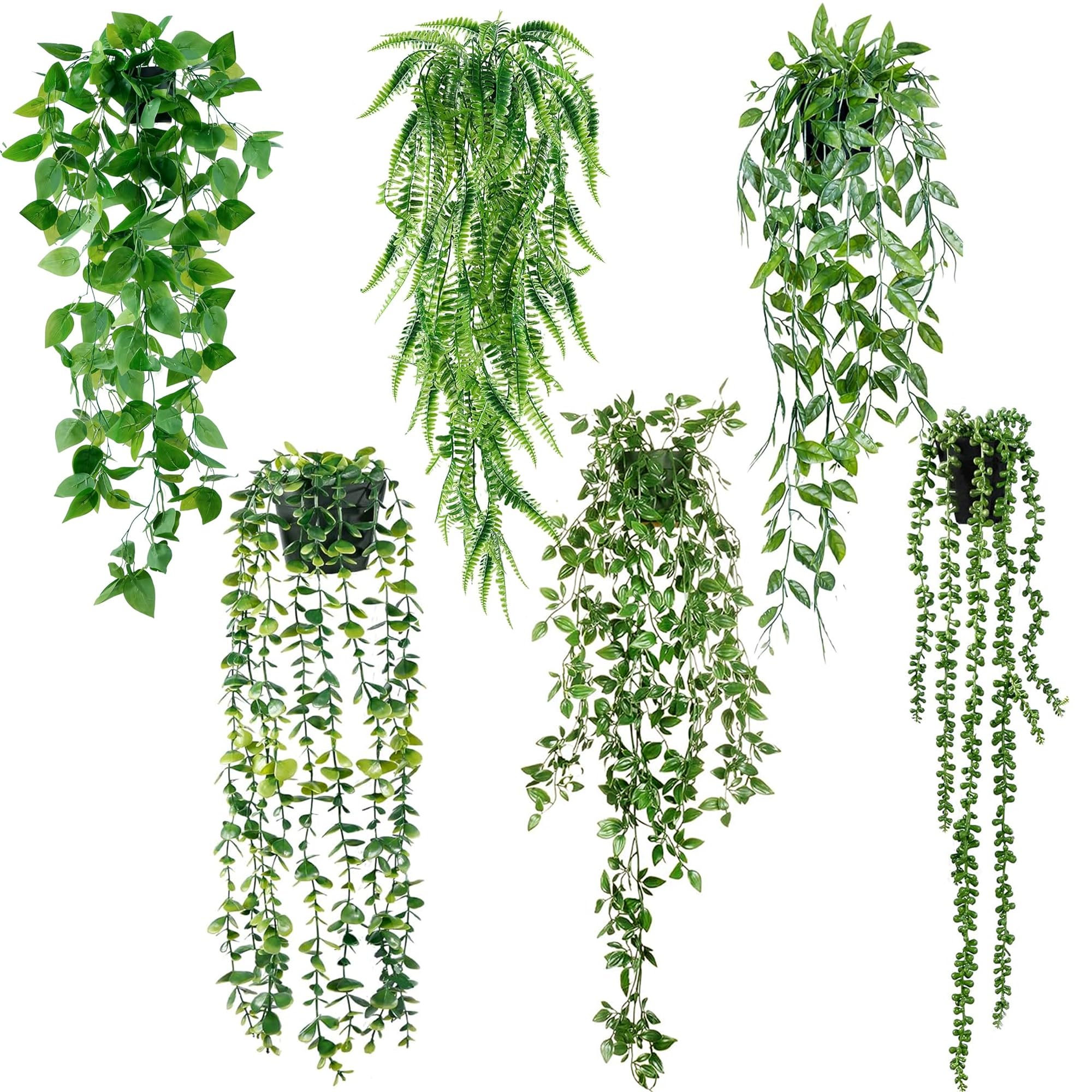 Sggvecsy eucalyptus 21.5-inch hanging plant adds natural color to any living room.