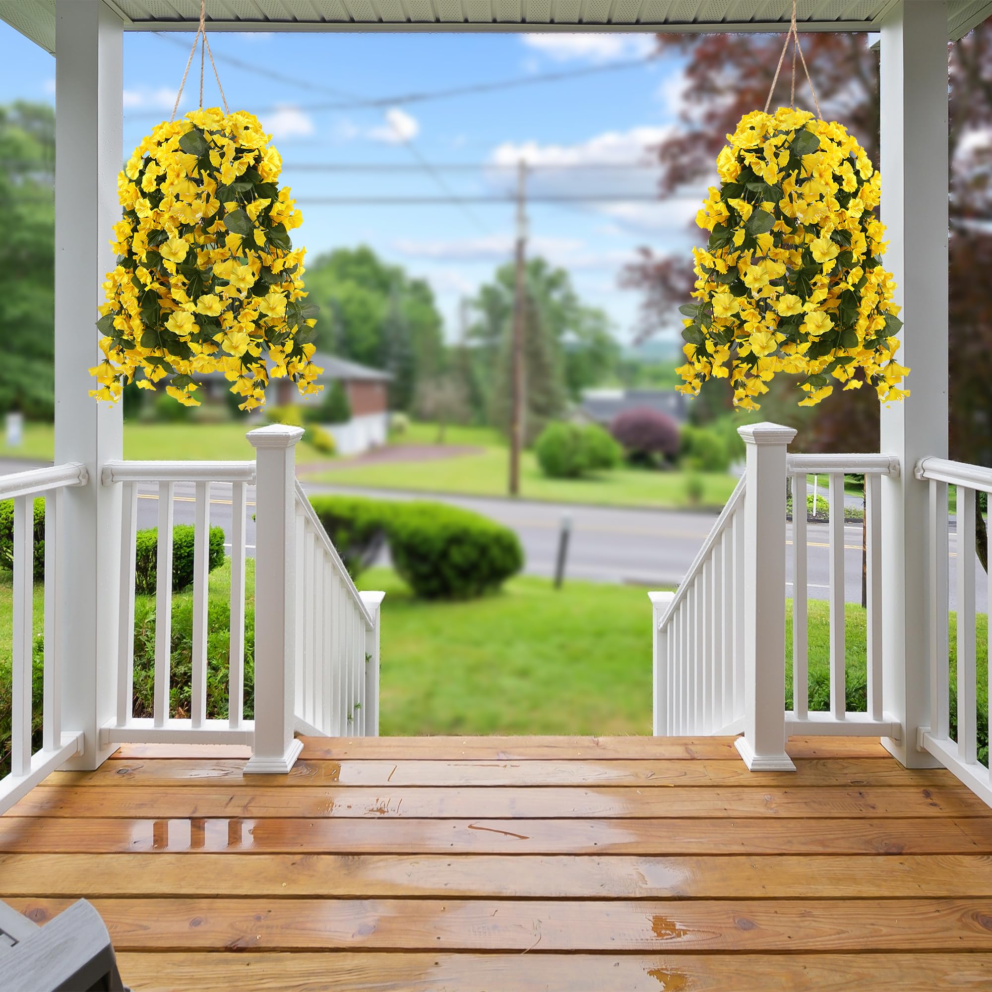 Sggvecsy yellow blooms create a cheerful mood for outdoor cafe settings
