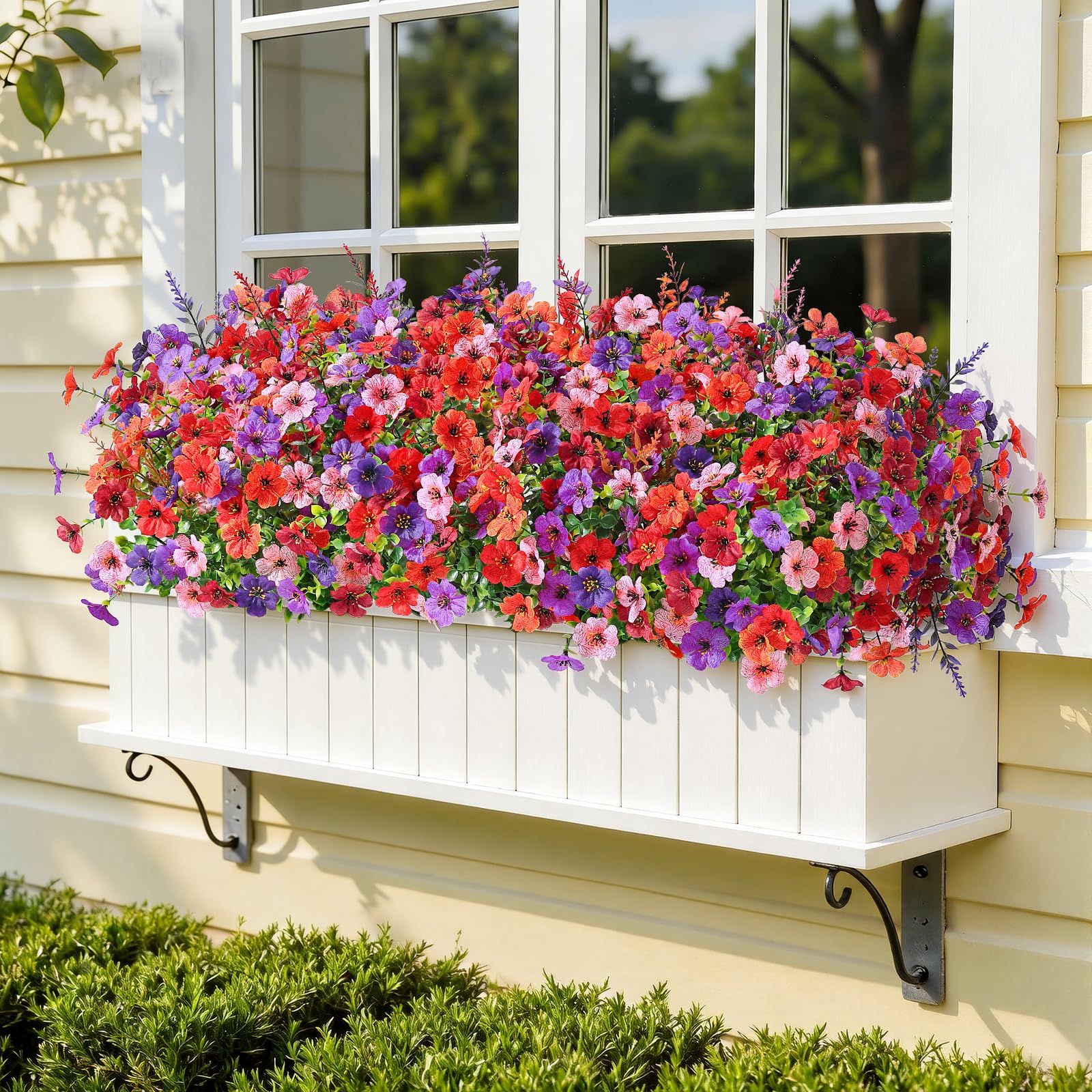 SHareconn low-maintenance flowers ideal for busy homes and harsh climates.