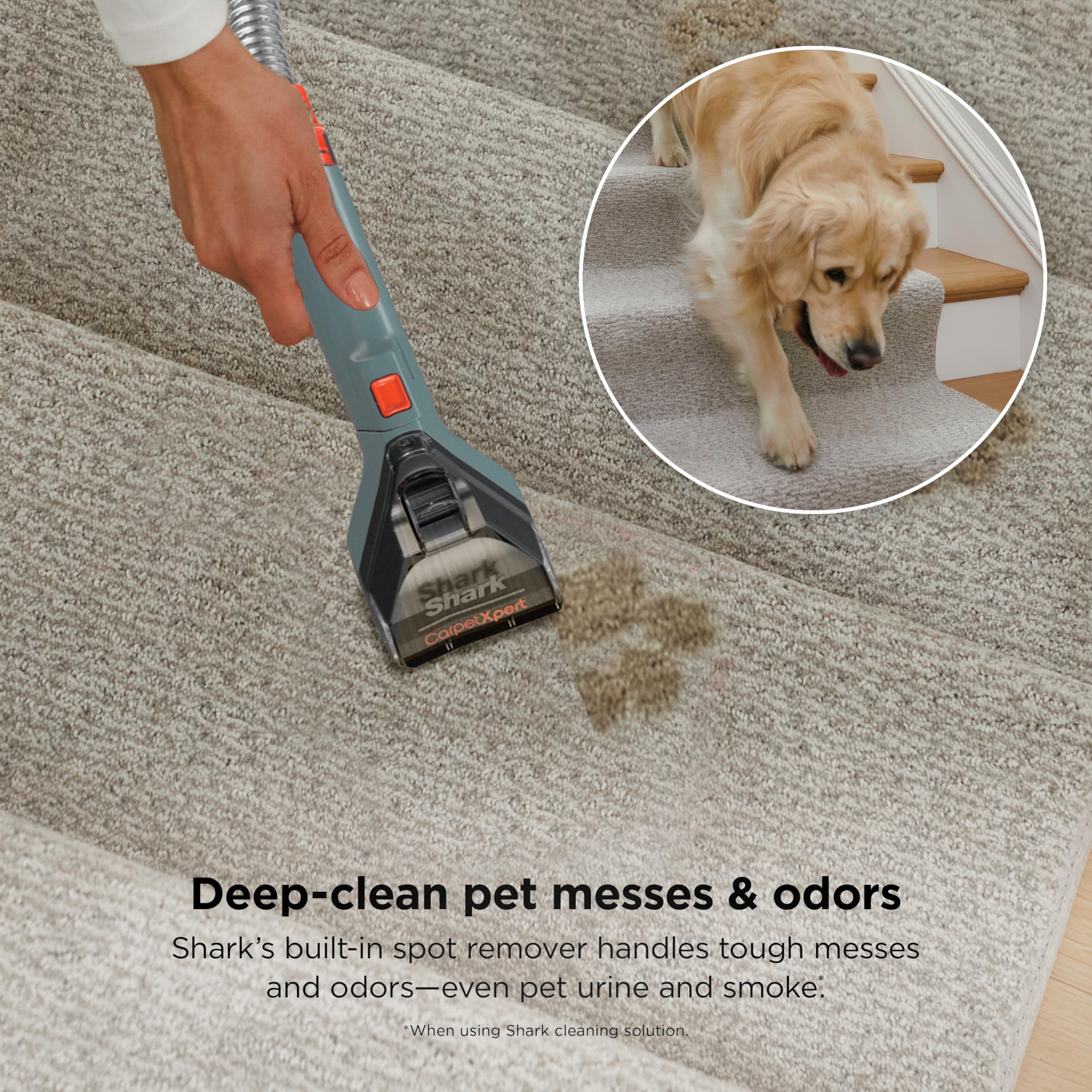 Shark CarpetXpert onboard hose system enables spot cleans