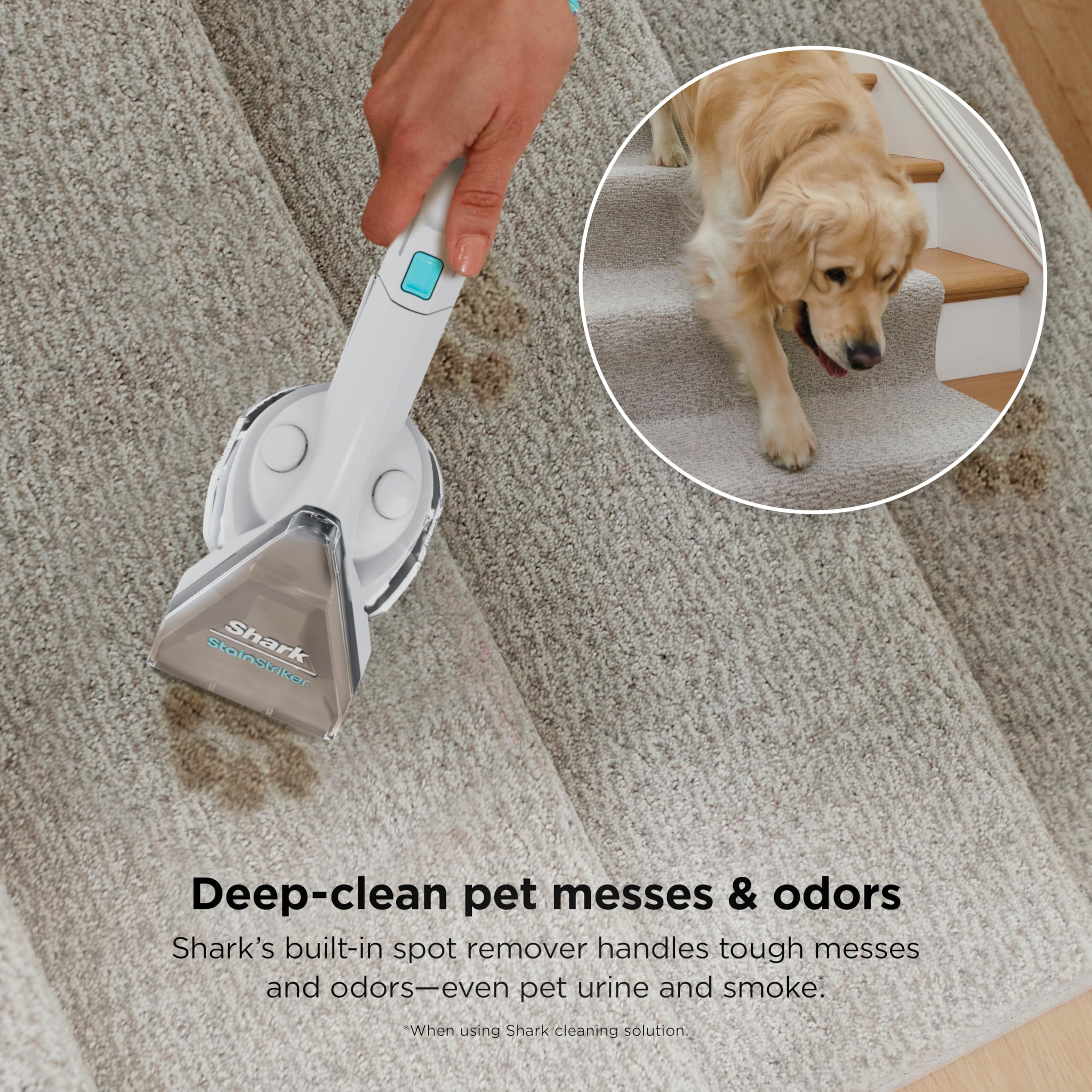 Shark CarpetXpert built-in spot and stain eliminator for on-demand cleaning.