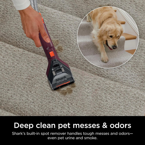 Shark EX150 Renewed versatile for area rugs and upholstery cleaning.