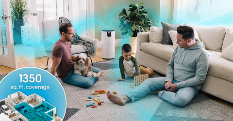 Shark UA205 Nanoseal HEPA Air Purifier Max renewed badge signals refreshed performance.