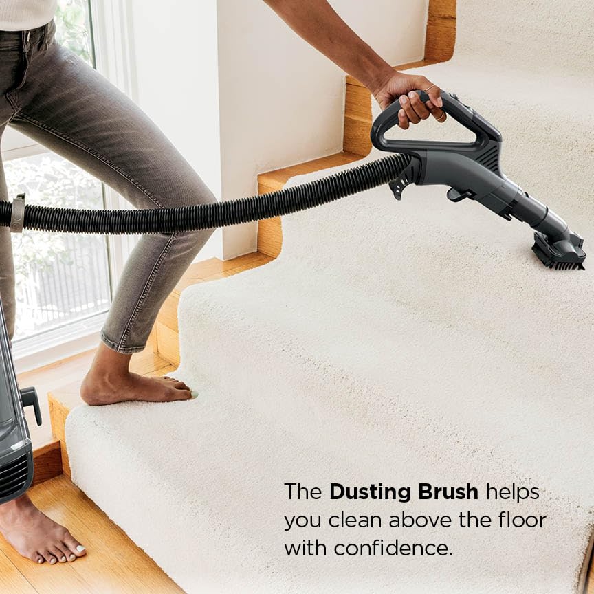 Shark Vertex pet power brush tackles pet hair on upholstery and carpets.