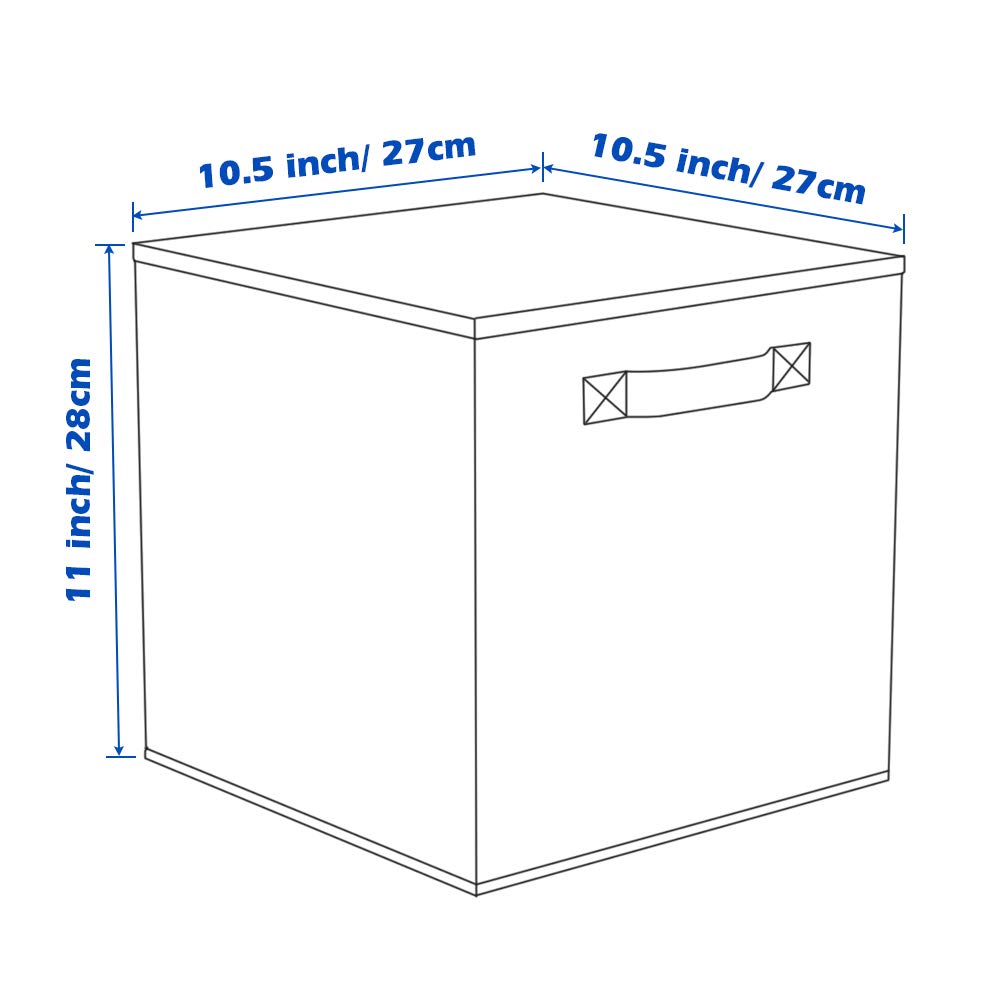 ShellKingdom polypropylene construction provides sturdy, durable storage.
