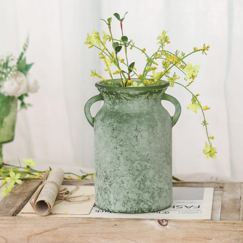 SHMILMH durable glass vase with sturdy handles for lasting decor