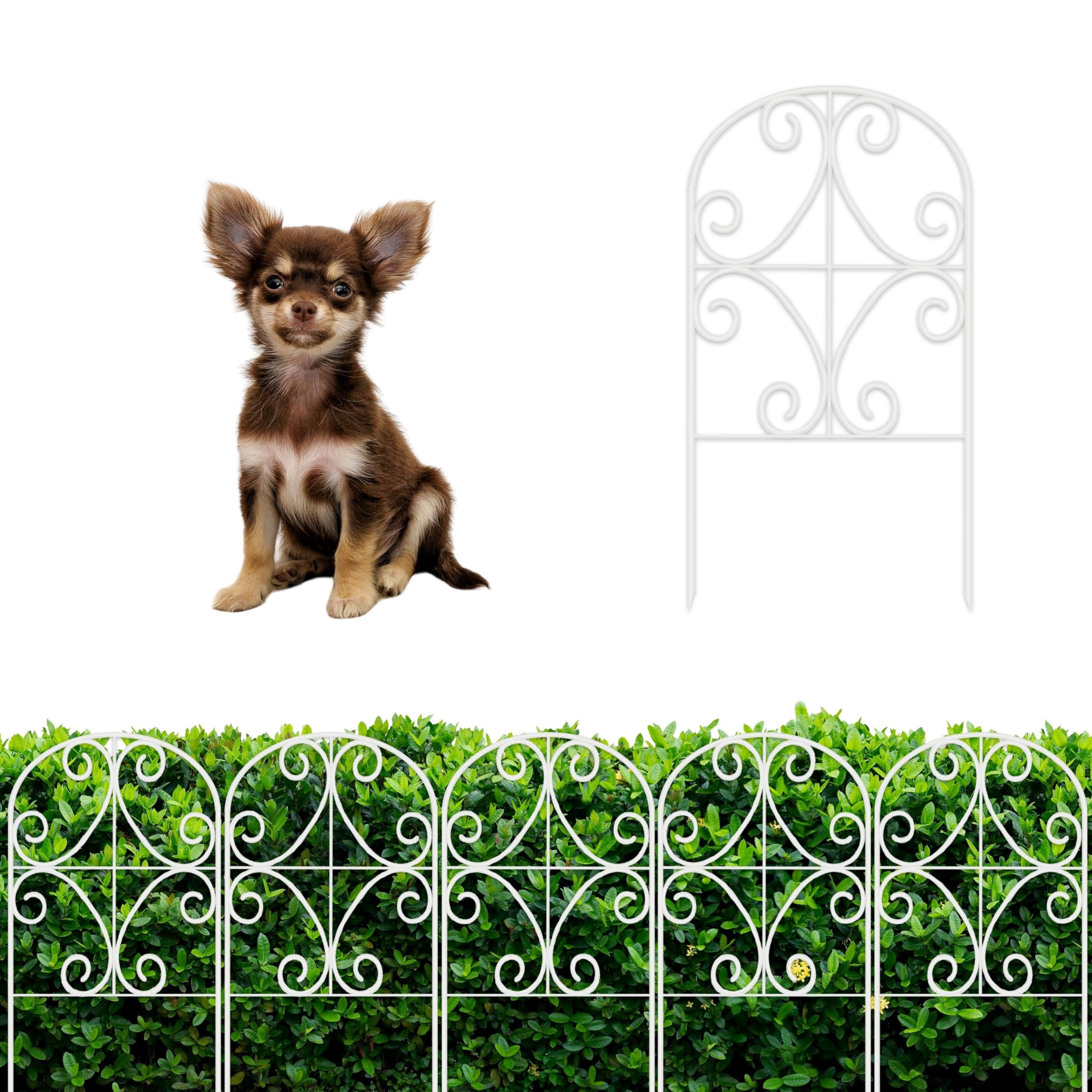 ShopLaLa Garden Fence Border 12x24 white defines edges and protects plants