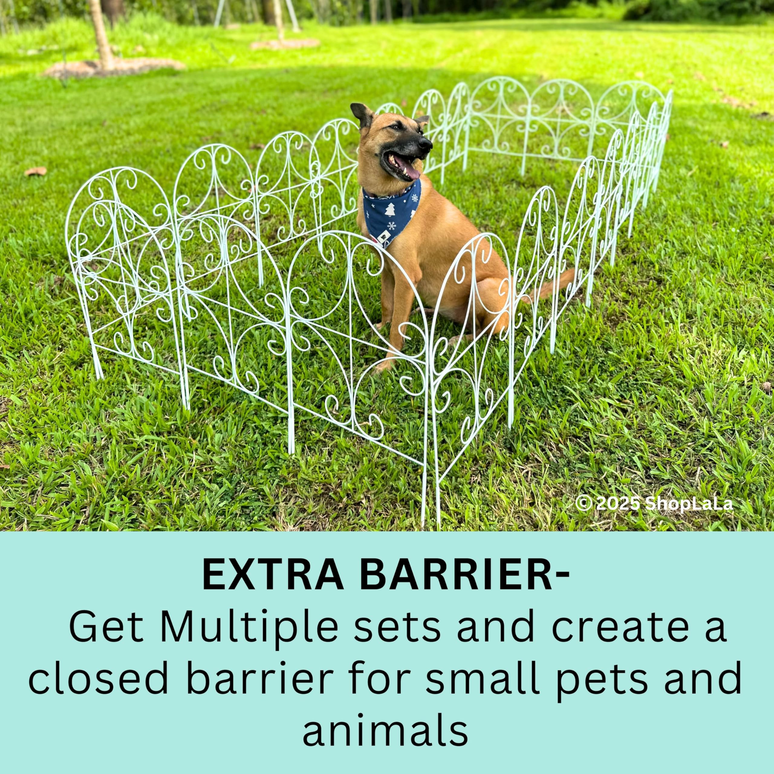 ShopLaLa Small Animal Barrier Fence provides extra plant protection
