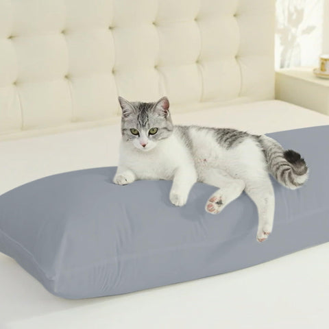 SHOUREN cotton-blend cover offers soft, breathable, skin-friendly comfort.