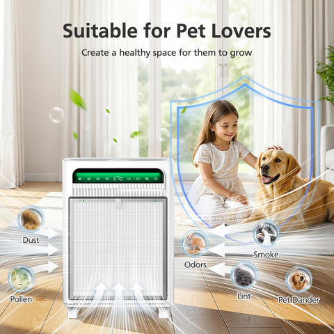ShufudeJa APH4000 3-stage filtration system illustration communicates thorough cleaning
