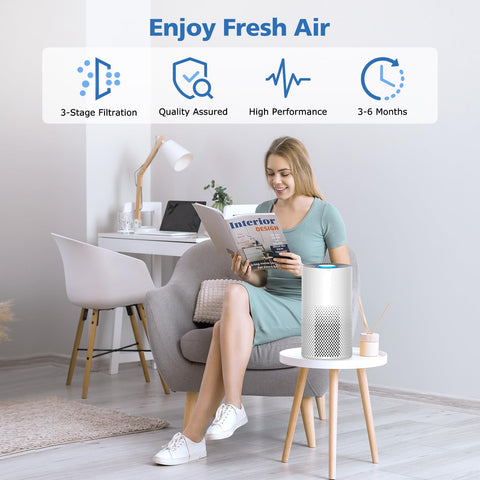 ShufudeJa easy replacement fits snugly in Afloia purifiers.