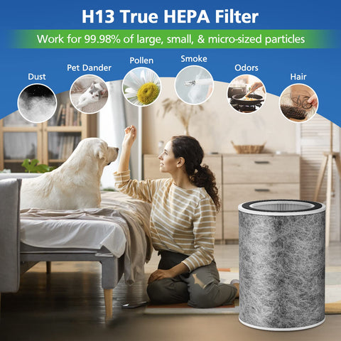 ShufudeJa HC502 filter fit for strong particle removal in rooms