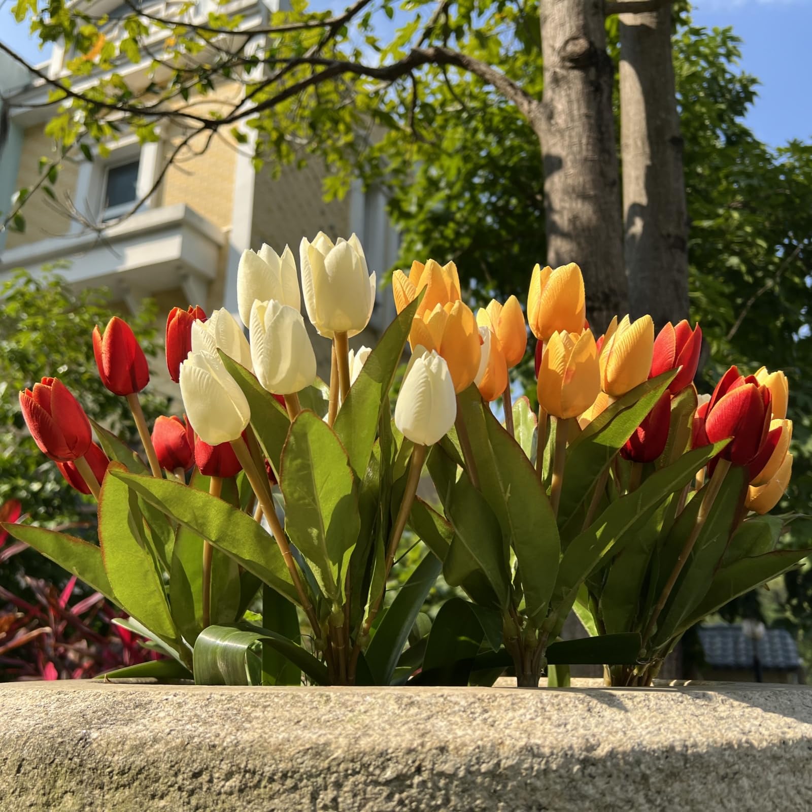 Shyshining multicolor tulips bundle adds vibrant porch color