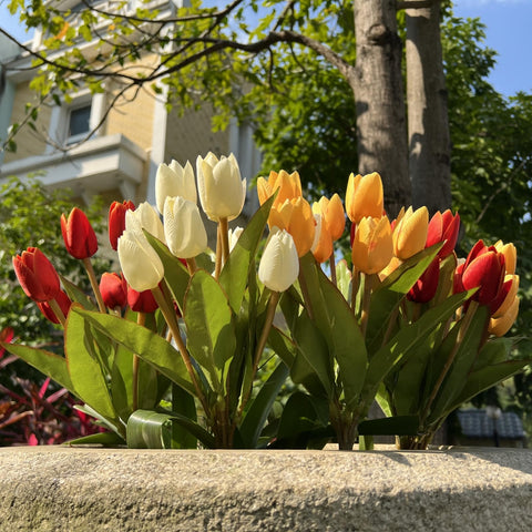 Shyshining multicolor tulips bundle adds vibrant porch color