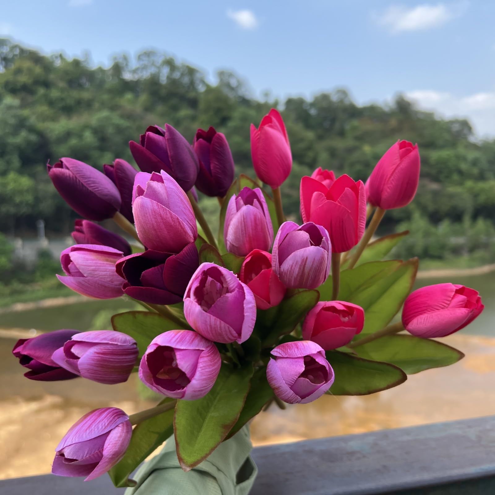 Shyshining tulips ideal for living rooms, windowsills, or shelves.