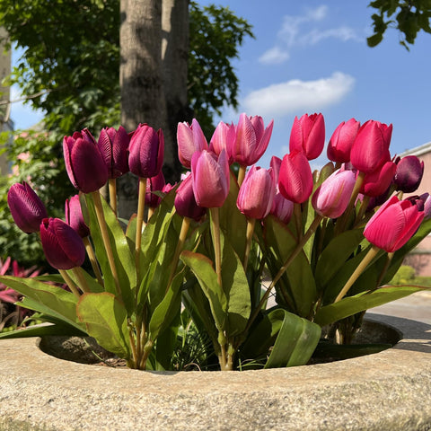 Shyshining tulips bendable stems, adjustable for creative indoor displays.