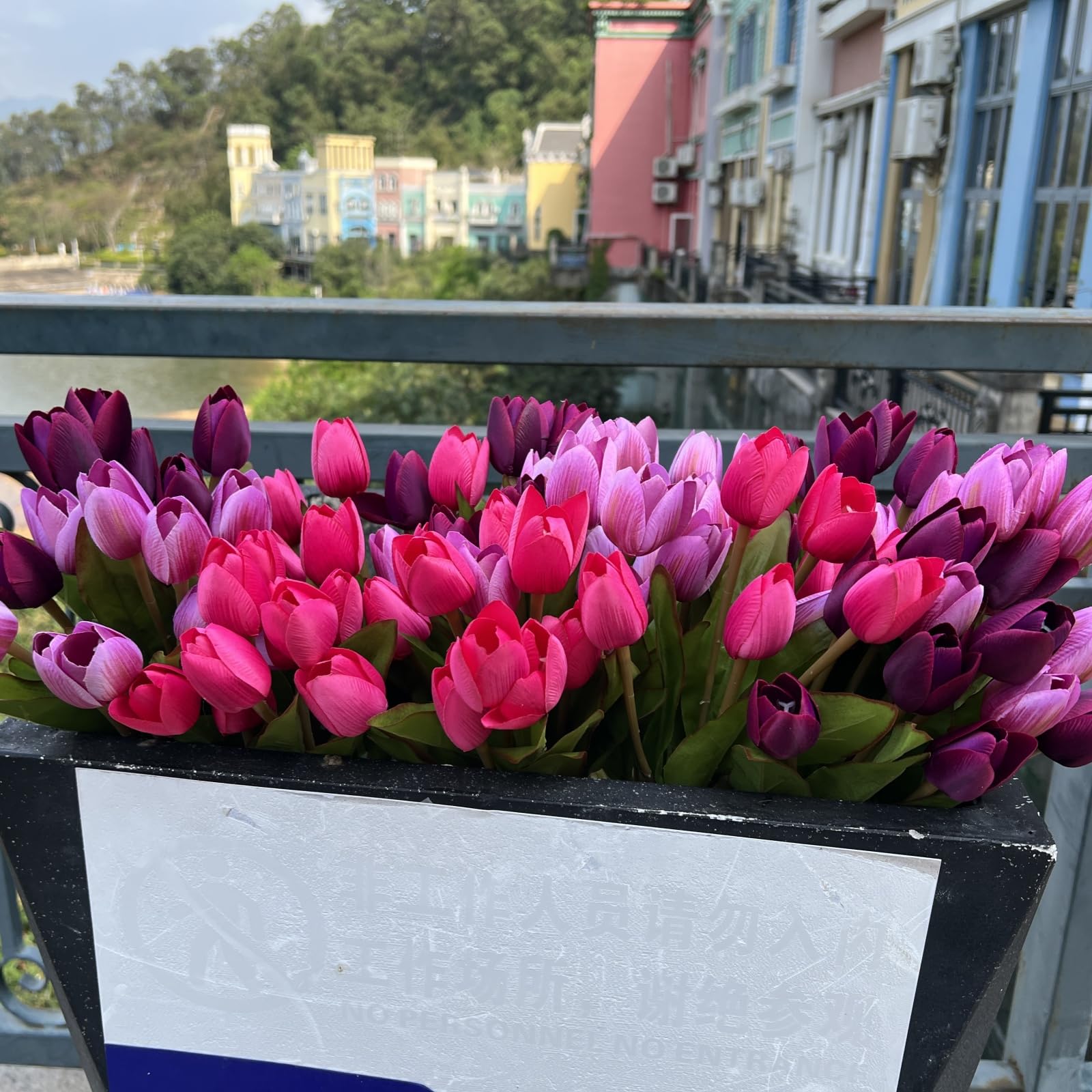 Shyshining tulips entryway display, welcoming seasonal color.