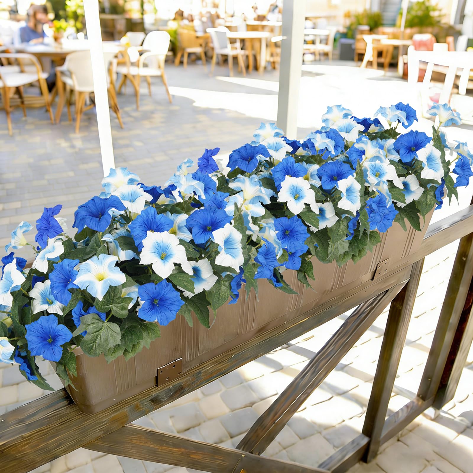 SIECCY window box display boosts entry charm with blue-white petunias