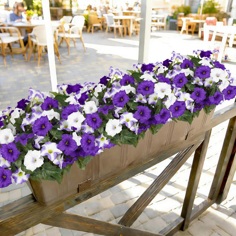 SIECCY hanging baskets enhanced by maintenance-free florals.