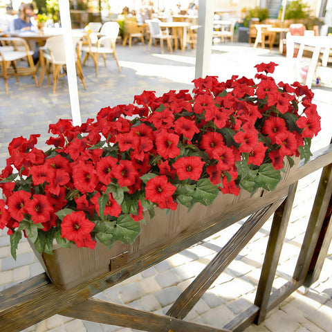 SIECCY hanging basket with red petunias for elevated charm.
