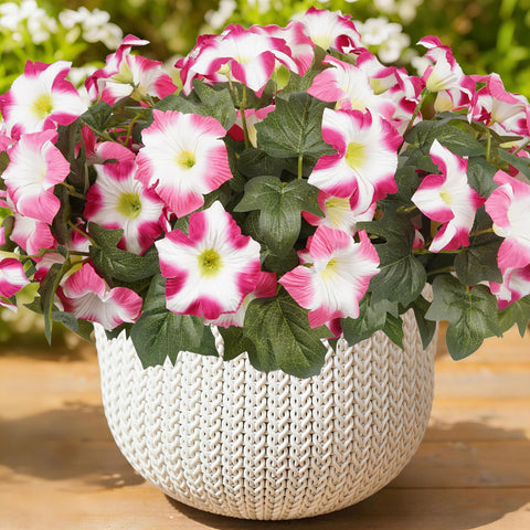 SIECCY outdoor 12-bundle pink and white faux petunias for front door display