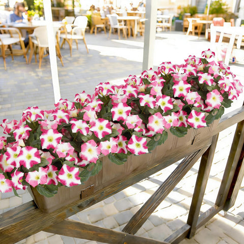 SIECCY window box décor adds charm without watering