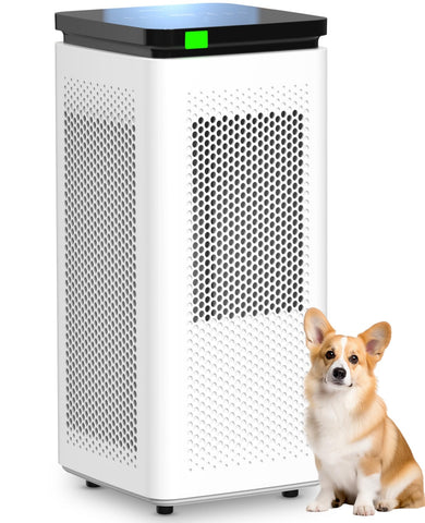 SIESEAN air purifier in a living room, large-room setup.