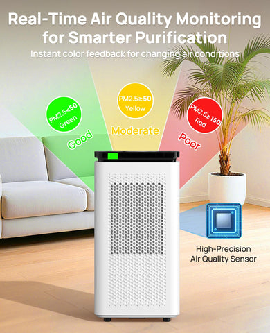 SIESEAN PM2.5 display shows real-time air quality feedback.