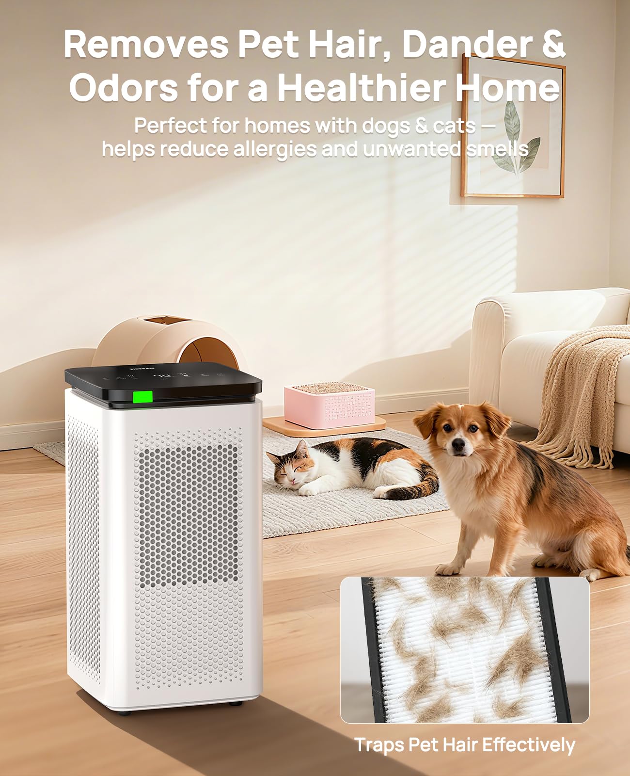 SIESEAN purifier tackles smoke and VOCs after cooking or fires.