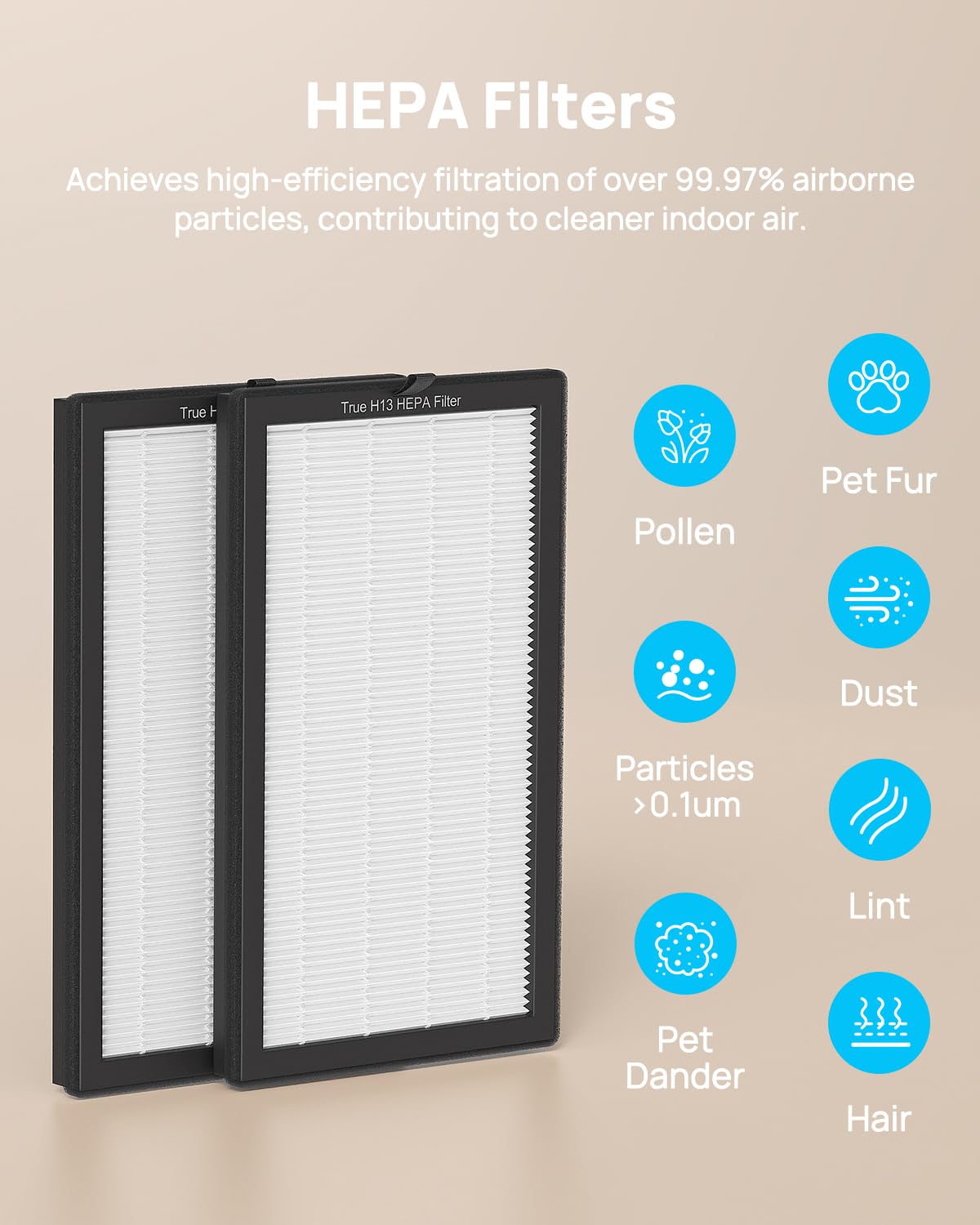 SIESEAN AP400 activated carbon filters reduce cooking and pet odors