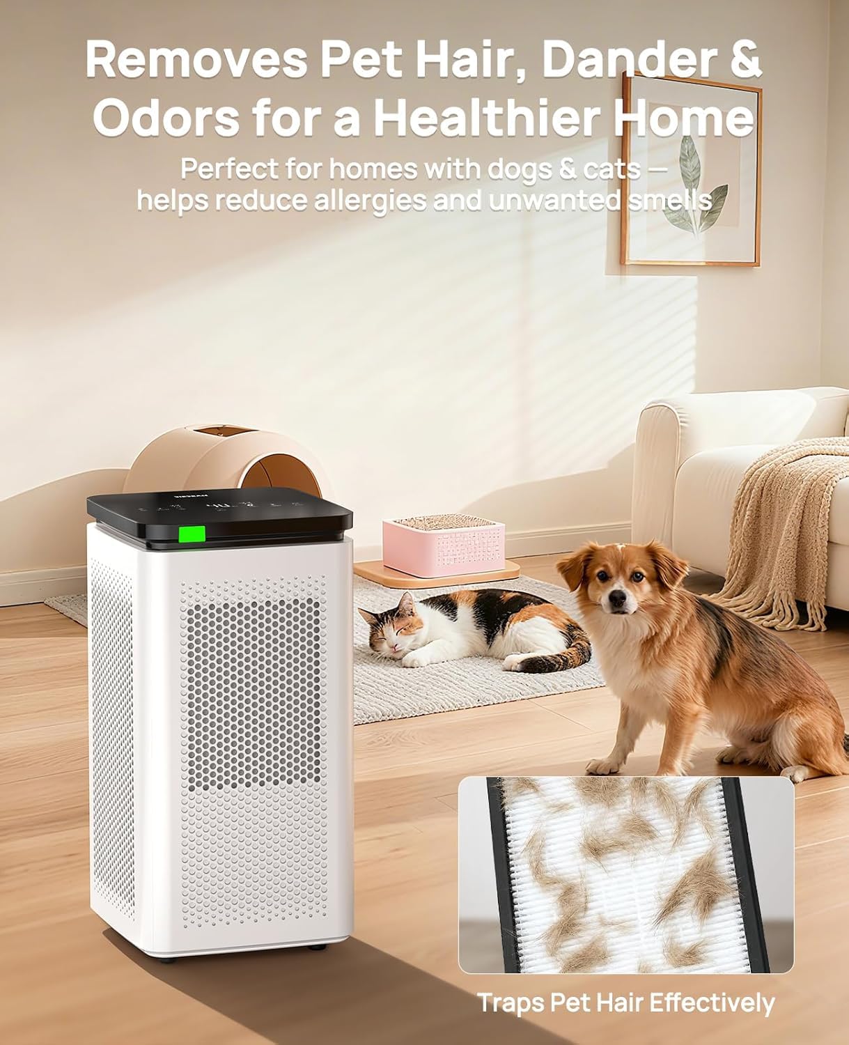 SIESEAN AP400 carbon filters absorb odors from cooking and smoke